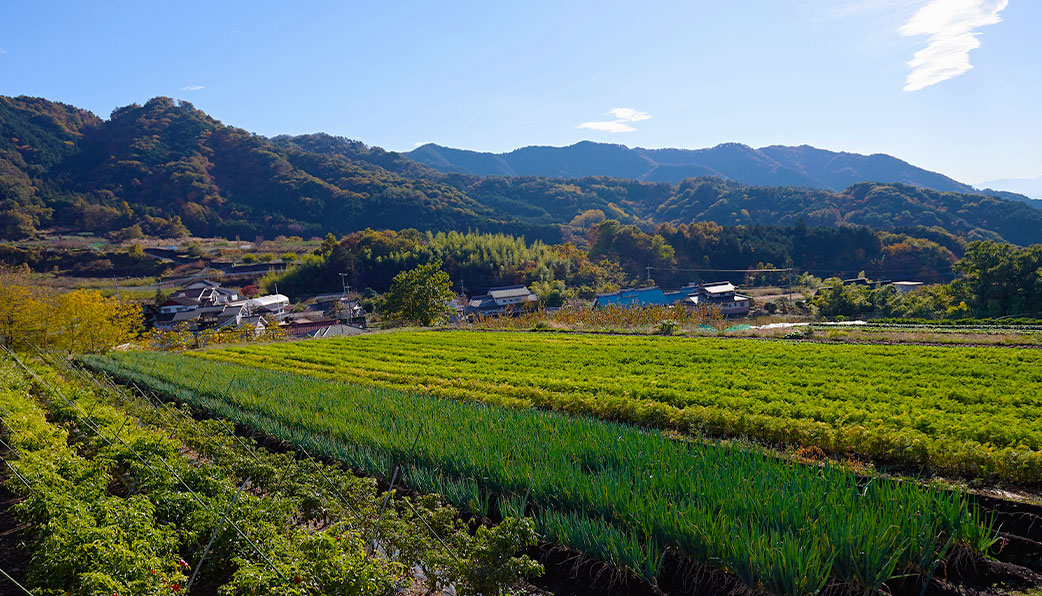 田園風景