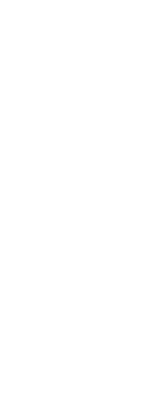 採れたてを味わう、ささやかな贅沢